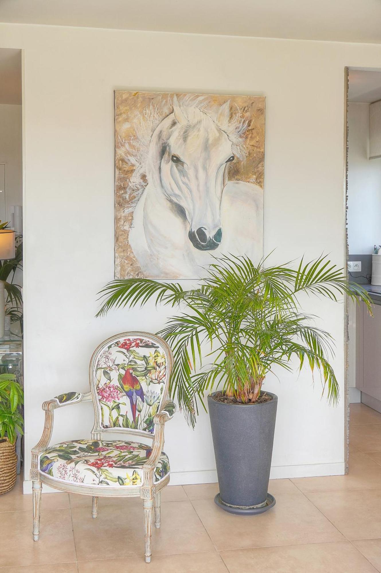 Frgk "Etoile Du Sud Terrasse Vue Mer Palm Beach" Cannes Esterno foto